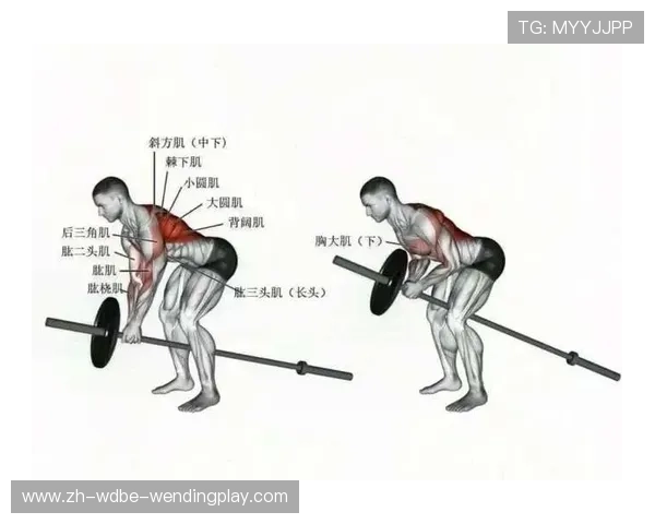 自制肌肉健身器材方法与成本实用性全面解析